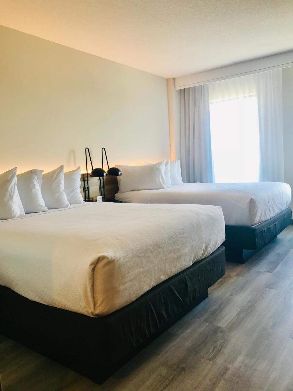 Wyndham Garden Ft Lauderdale Airport & Cruise Port Hotel Dania Beach Luaran gambar